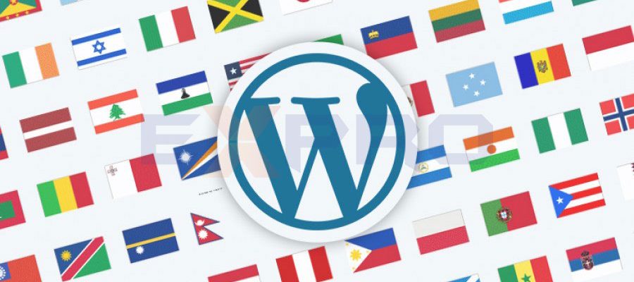 Cài đặt ngôn ngữ tiếng việt cho website WordPress