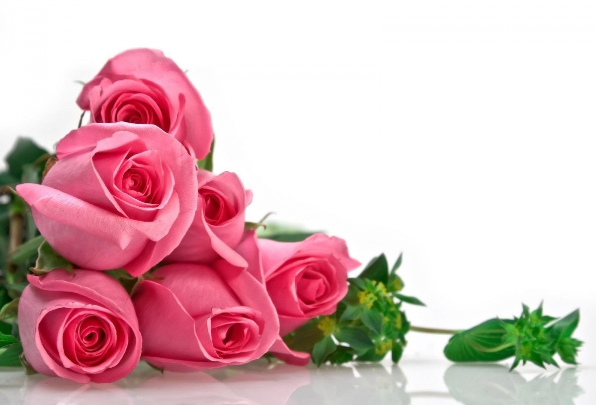 Với hình nền hoa 20/10, bạn sẽ được thưởng thức nét đẹp tinh tế của những bông hoa thủy tiên, cẩm tú cầu, hồng,… Hãy sử dụng chúng để tôn lên vẻ đẹp quyến rũ của hình nền thiết bị của bạn.