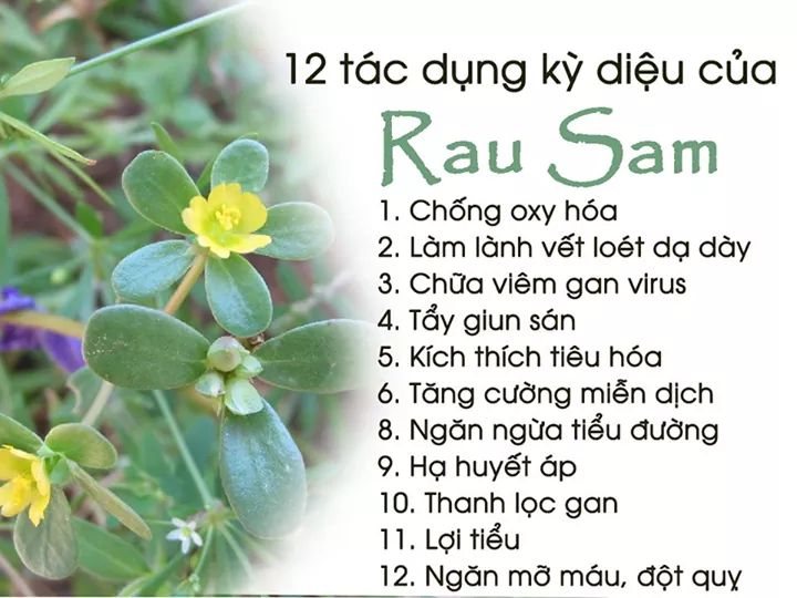 Tác dụng kỳ diệu của thực vật đối với sức khỏe