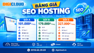 SEO HOSTING DIGICLOUD –Giải pháp xây dựng hệ thống website vệ tinh hiệu quả