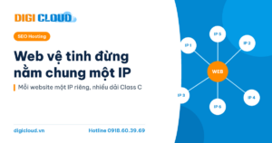 Website vệ tinh đừng dùng chung một IP
