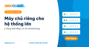 Máy chủ riêng cho hệ thống lớn